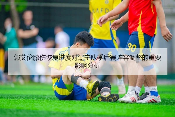 郭艾伦膝伤恢复进度对辽宁队季后赛阵容调整的重要影响分析